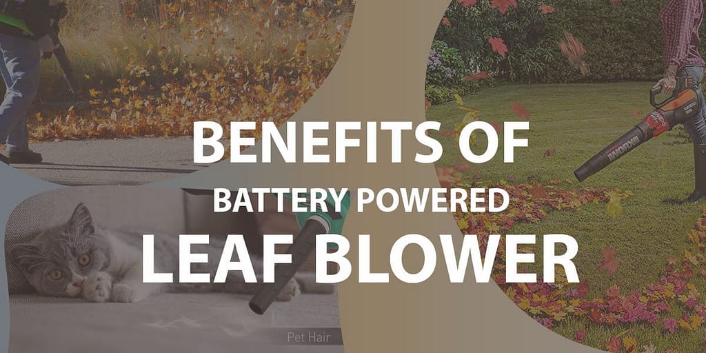 Benefits of Battery Powered Blower